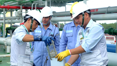 Tập đoàn Vinacontrol (VNC) sắp tăng vốn gấp đôi, cổ đông nhận thưởng và cổ tức lên tới 112%