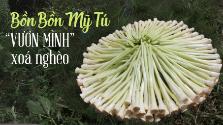 Bồn Bồn Mỹ Tú “vươn mình” xoá nghèo