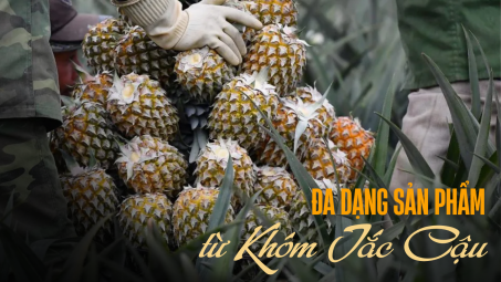 Ða dạng sản phẩm từ Khóm Tắc Cậu