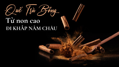 Quế Trà Bồng: Từ non cao đi khắp năm châu