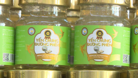 Chuyển công an Phú Thọ điều tra vụ yến chưng giả tại Công ty TNHH Yến sào Tuấn Dương & TKT