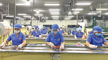 Thành lập Ban Chỉ đạo quốc gia triển khai Nghị quyết 68 về phát triển kinh tế tư nhân