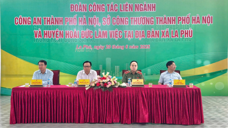 Hà Nội: Tăng cường kiểm tra, chấn chỉnh hoạt động sản xuất kinh doanh tại La Phù