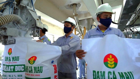 Đạm Cà Mau (DCM) chốt chia cổ tức 20% bằng tiền, dự báo giá phân bón có thể tăng