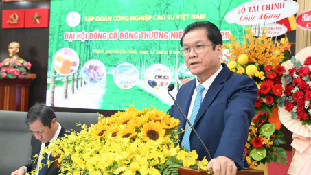 Cao su Việt Nam (GVR): Thị trường thiếu hụt nguồn cung mủ cao su đến năm 2028