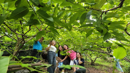 Huyện Võ Nhai: Điểm sáng vùng cao trong xây dựng nông thôn mới và phát triển kinh tế du lịch