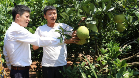 Bắc Giang: Tư duy đổi mới, hành động quyết liệt trong công tác giảm nghèo