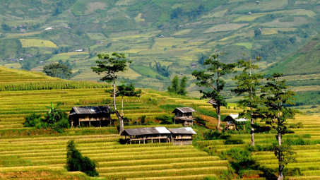 Thành lập Ban Chỉ đạo Trung ương các chương trình mục tiêu quốc gia giai đoạn 2021 - 2025
