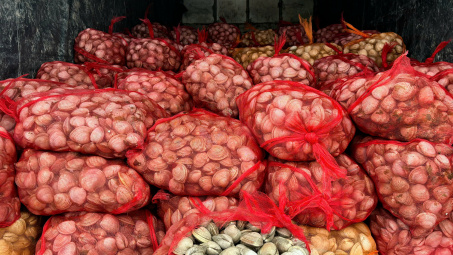 QLTT Quảng Ninh: Ngăn chặn gần 17 tấn ngao, hàu không rõ nguồn gốc từ Móng Cái vào nội địa tiêu thụ