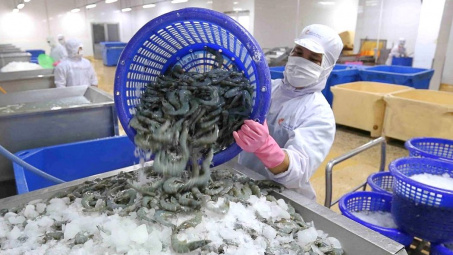 Dồn lực khép kín chuỗi giá trị, Thuỷ sản Minh Phú (MPC) kỳ vọng lãi nghìn tỷ năm nay