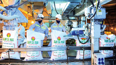 Đạm Cà Mau (DCM): Lợi nhuận bứt phá vượt 22% kế hoạch sau 6 tháng đầu năm 2025