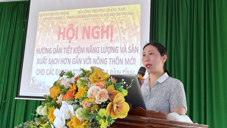 Quảng Nam: Tổ chức Hội nghị Tiết kiệm năng lượng và Sản xuất sạch hơn tại xã đảo Tam Hải