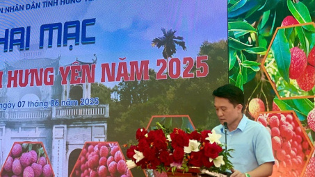 Phiên chợ vải Hưng Yên 2025: Sắc màu nông sản và kết nối thị trường