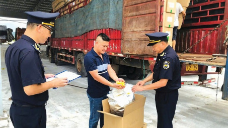 Biện pháp chống gian lận thuế trong lĩnh vực xuất nhập khẩu tại Việt Nam