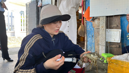 Phú Yên: Bơm thạch rau câu vào tôm hùm chết để lừa người tiêu dùng