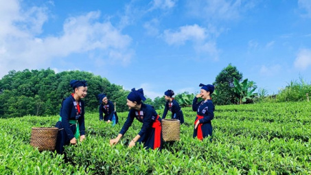 Ban hành Quy chế hoạt động Ban chỉ đạo Trung ương các chương trình mục tiêu quốc gia