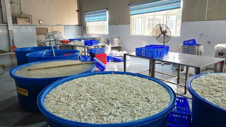 Thanh Hoá: Phát hiện kho chứa 13 tấn chân gà ngâm tẩm hoá chất INTEROX ST 50 (H2O2)