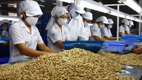 Hoa Kỳ tăng nhập khẩu hạt điều cao cấp, mở rộng nguồn cung ngoài châu Á