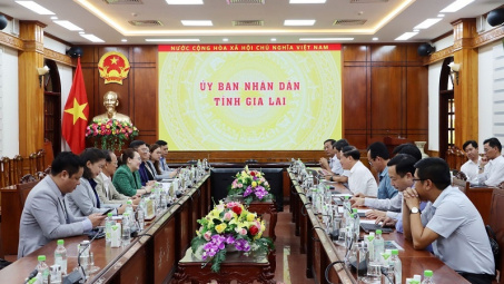 TTC AgriS (SBT): Muốn mở viện nghiên cứu, nâng gấp đôi công suất nhà máy đường tại Gia Lai