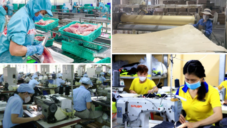 Hỗ trợ của nhà nước về phát triển khoa học công nghệ và đổi mới sáng tạo cho khu vực kinh tế tư nhân