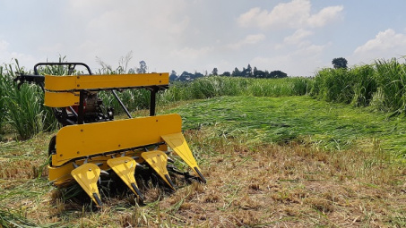 Công ty CP Cơ khí An Giang: Cần đổi mới sản phẩm để phục hồi tăng trưởng