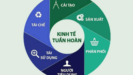 Các yếu tố ảnh hưởng đến việc áp dụng kinh tế tuần hoàn tại doanh nghiệp vừa và nhỏ thuộc Đồng bằng sông Hồng (DOI: https://doi.org/10.62831/202508045)