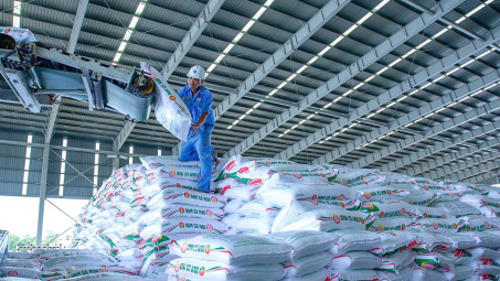 Đạm Cà Mau (DCM): Lãi hơn 300 tỷ đồng trong tháng 7, xuất thêm lô hàng lớn sang Australia