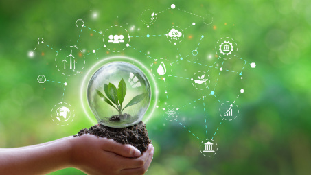 Pháp luật bảo vệ môi trường ở Việt Nam: Thực trạng và hướng hoàn thiện