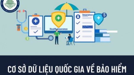 Quy trình xây dựng cơ sở dữ liệu bảo hiểm