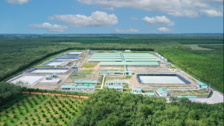 BAF Việt Nam (BAF): Tổng đàn heo tăng gấp đôi, lãi quý 2 “bùng nổ”