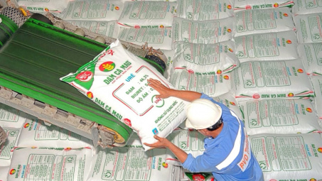 Dự báo giá ure tiếp tục tăng, Đạm Cà Mau (DPM), Đạm Phú Mỹ (DPM) kỳ vọng hưởng lợi lớn