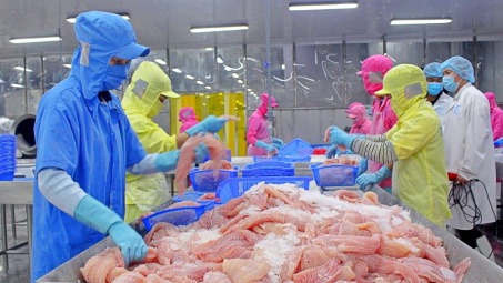 Đa Quốc Gia IDI: Giá xuất khẩu cá tra tăng, báo lãi quý 2/2025 tăng 83%