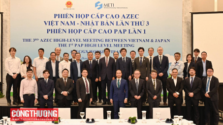 Việt Nam - Nhật Bản thúc đẩy triển khai các dự án theo Sáng kiến AZEC