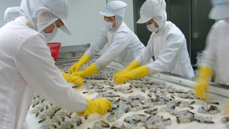 Thực phẩm Sao Ta (FMC): Doanh thu nửa đầu năm tăng 43%, giá thành sẽ giảm trong thời gian tới