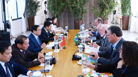 Việt Nam và Brazil thúc đẩy kết thúc đàm phán FTA Việt Nam - Khối MERCOSUR trong nửa cuối năm nay