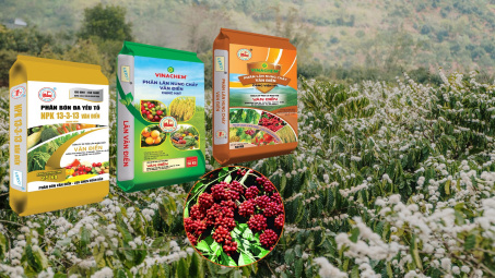 Phân bón Văn Điển - Giải pháp dinh dưỡng bền vững cho cây trồng ở Tây Nguyên