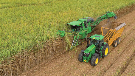 Lo ngại thiếu hụt nguồn cung, giá đường dự báo tiếp tục neo cao