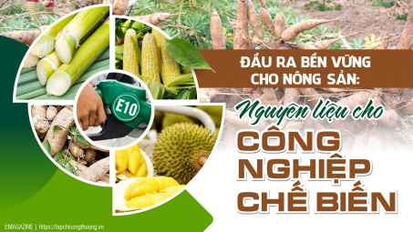 [eMagazine] Đầu ra bền vững cho nông sản - Nguyên liệu cho công nghiệp chế biến