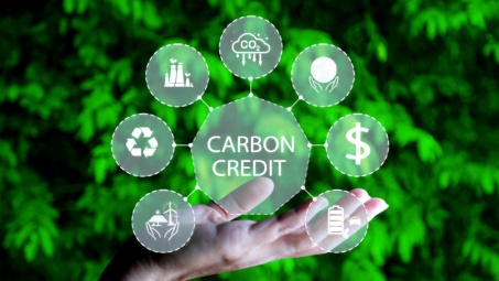 Thúc đẩy thị trường tín chỉ carbon hướng tới phát triển bền vững