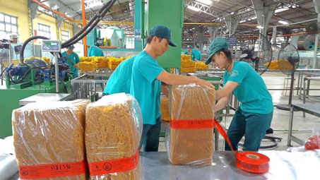 Có 2.000 tỷ đồng gửi ngân hàng, Cao su Đồng Phú (DPR) chốt chia cổ tức tiền mặt 20%