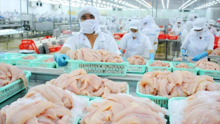 Xuất khẩu thủy sản dự báo tiếp tục tăng, VASEP kiến nghị gỡ khó về thuế GTGT