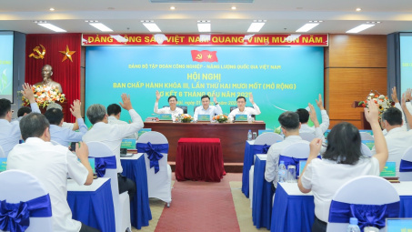 Petrovietnam hướng tới xây dựng tổ chức đảng đồng bộ, thống nhất với chiến lược phát triển ngành