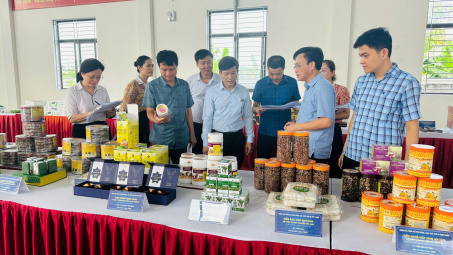 Công nghiệp nông thôn Hà Tĩnh bứt phá nhờ khuyến công đồng hành