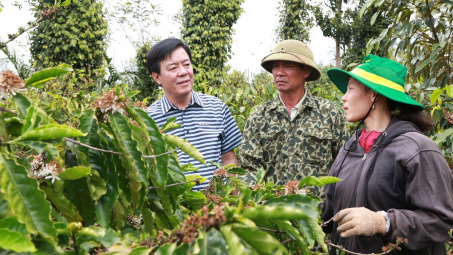 Phân bón Bình Điền – Hành trình hơn nửa thế kỷ phụng sự nông dân