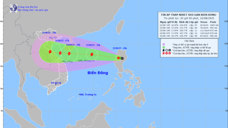 Thủ tướng chỉ đạo khẩn ứng phó áp thấp nhiệt đới có khả năng mạnh lên thành bão
