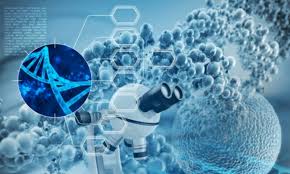 Tính chất bề mặt của oxit kim loại và vai trò của chúng đối với việc lưu trữ hydro điện hóa ống nano carbon