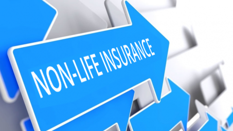 Nghiên cứu giải pháp nâng cao tính bền vững trong hoạt động của doanh nghiệp bảo hiểm phi nhân thọ tại Việt Nam