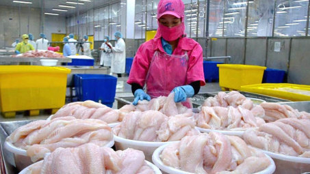 Xuất khẩu cá tra khởi sắc, Thuỷ sản Vĩnh Hoàn (VHC) báo lãi cao nhất 8 quý