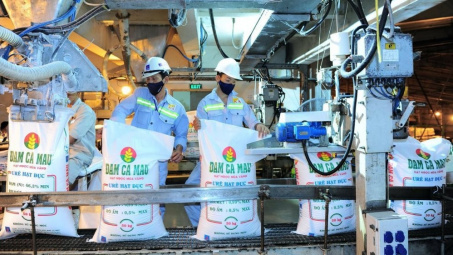 Giá ure kỳ vọng tiếp tục tăng, lãi ròng năm nay của Đạm Cà Mau (DCM) dự báo tăng 36%