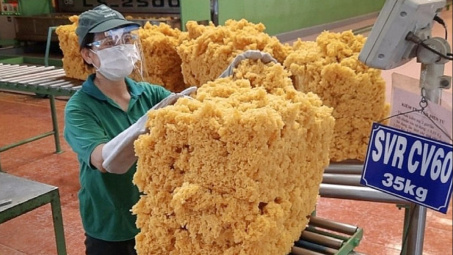 Cao su Phước Hoà (PHR): Lãi nửa đầu năm tăng mạnh, chuẩn bị chia cổ tức năm 2024